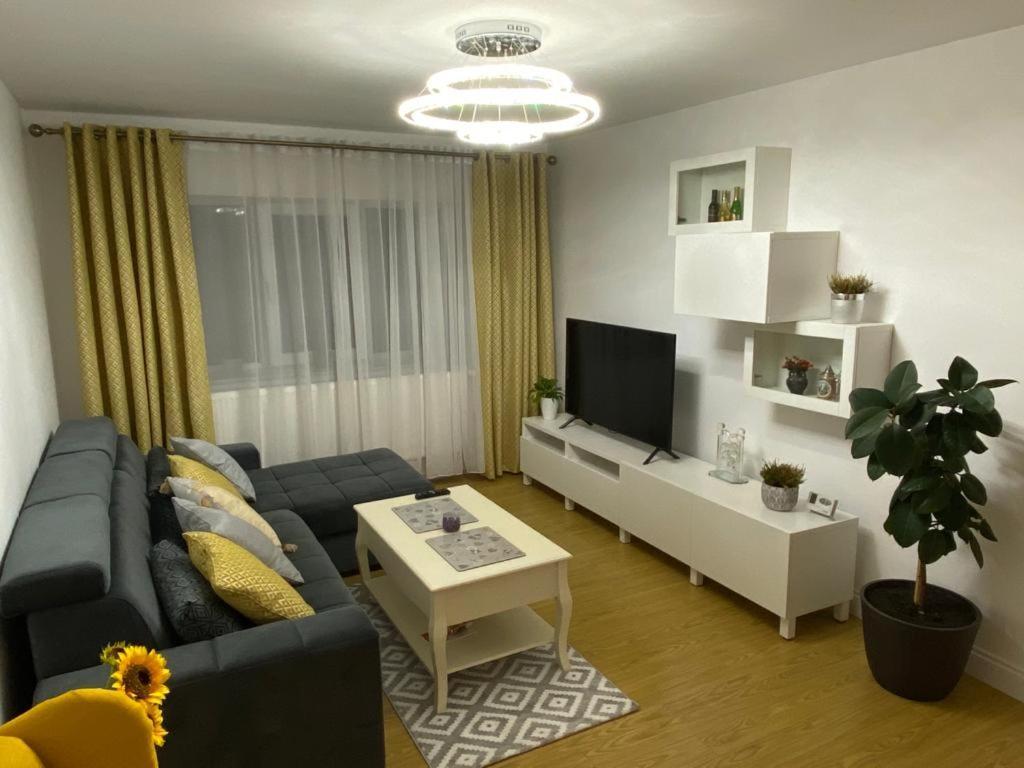 Bucovina View Apartment Câmpulung Moldovenesc Exterior photo